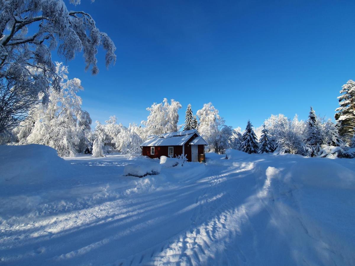 Luxury Guesthouse 'Lodge Lagom' - Hammarstrand-Jaemtland エクステリア 写真