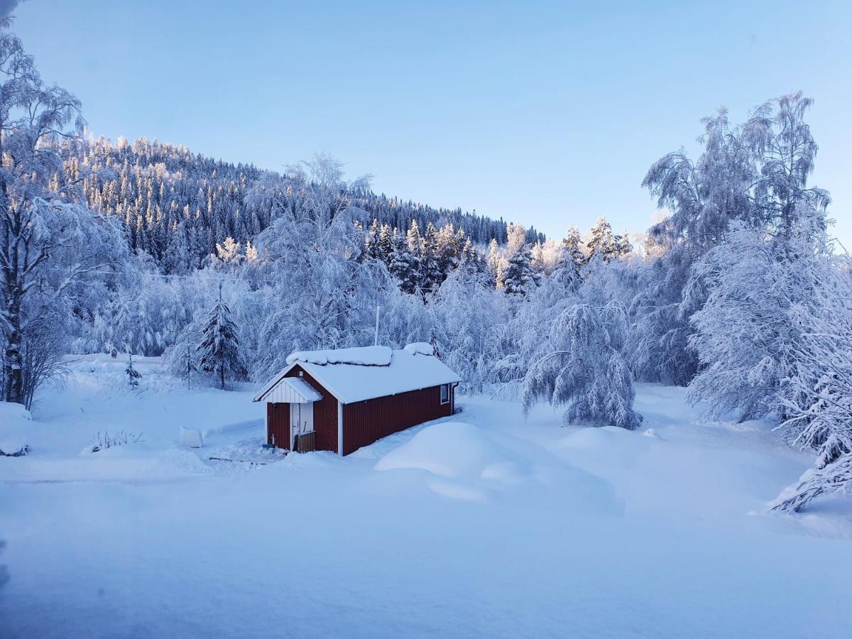 Luxury Guesthouse 'Lodge Lagom' - Hammarstrand-Jaemtland エクステリア 写真